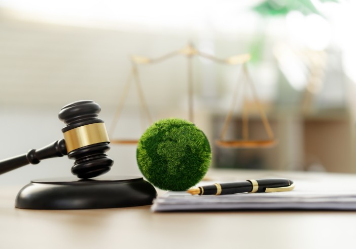 Item Illustration : Structuring Cross-Border Loans through Cyprus: A Strategic Use of Double Tax Treaties