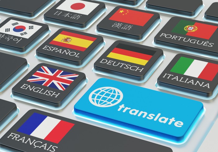 Item Illustration : The Problem of Authentic Languages and Official Translations of the Multilateral Convention and Double Tax Treaties