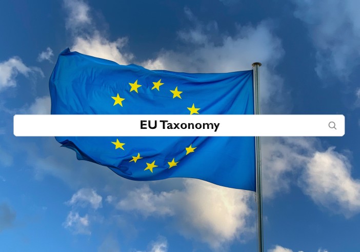 Item Illustration : Tax ruling in the European tax law<br />