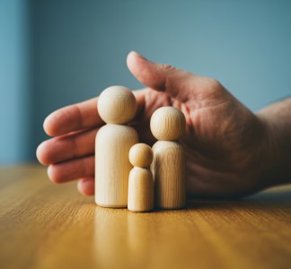 Item Illustration : Corporate Restructuring and Family Governance: A Case Study