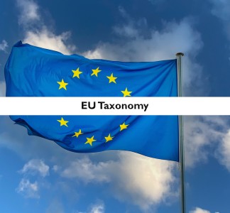 Item Illustration : Tax ruling in the European tax law<br />
